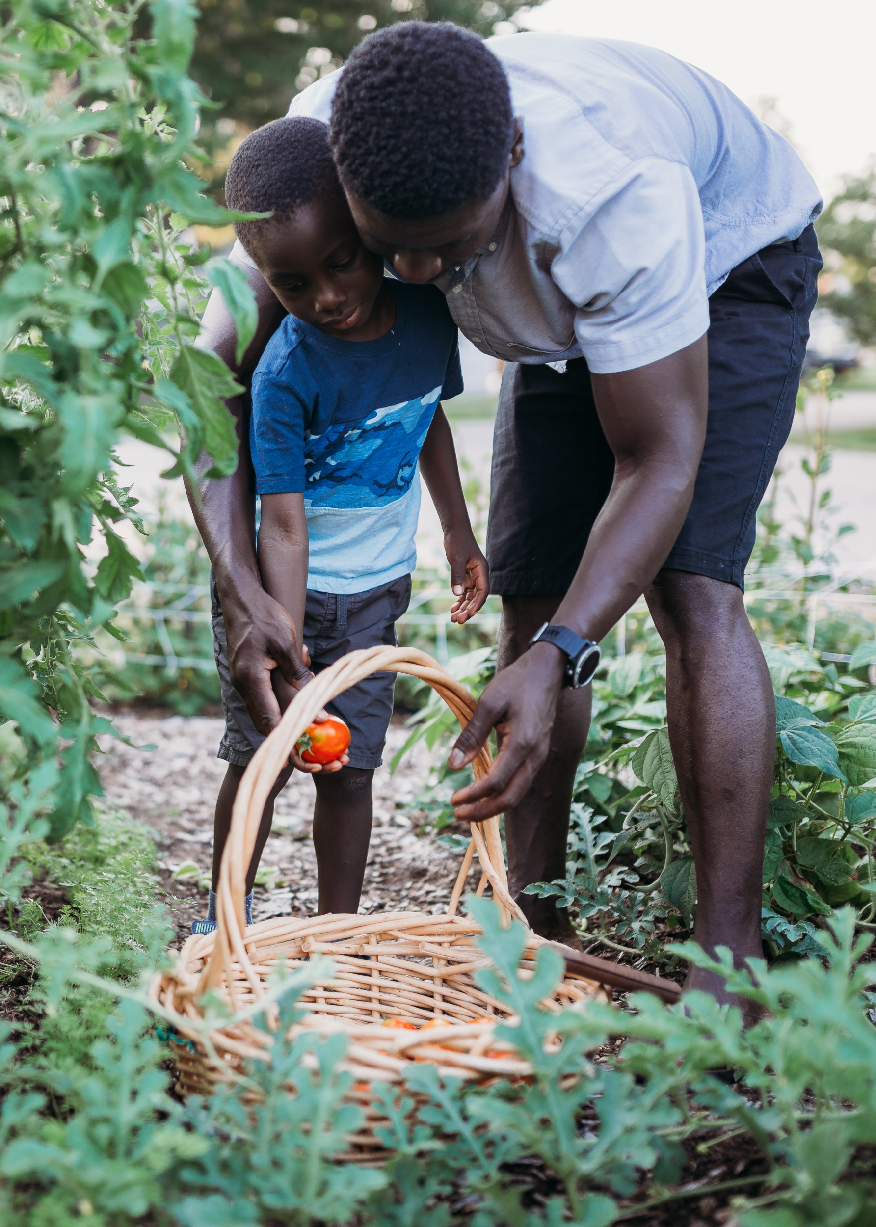 files/LEM_6734.png files/LEM_6734.png