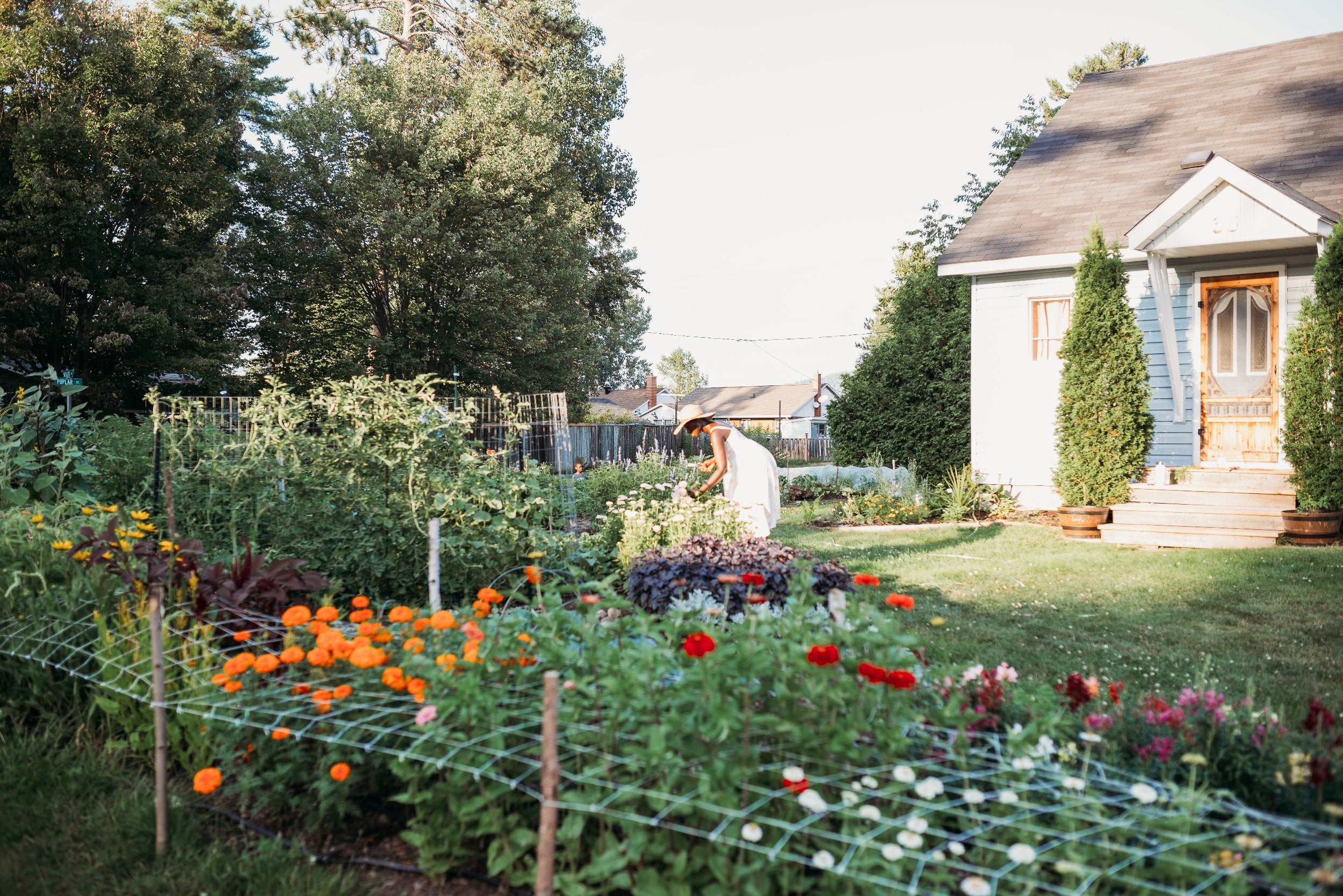 Flower Farm Ottawa Valley